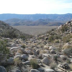 Borrego Springs